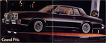 1978 Pontiac-02